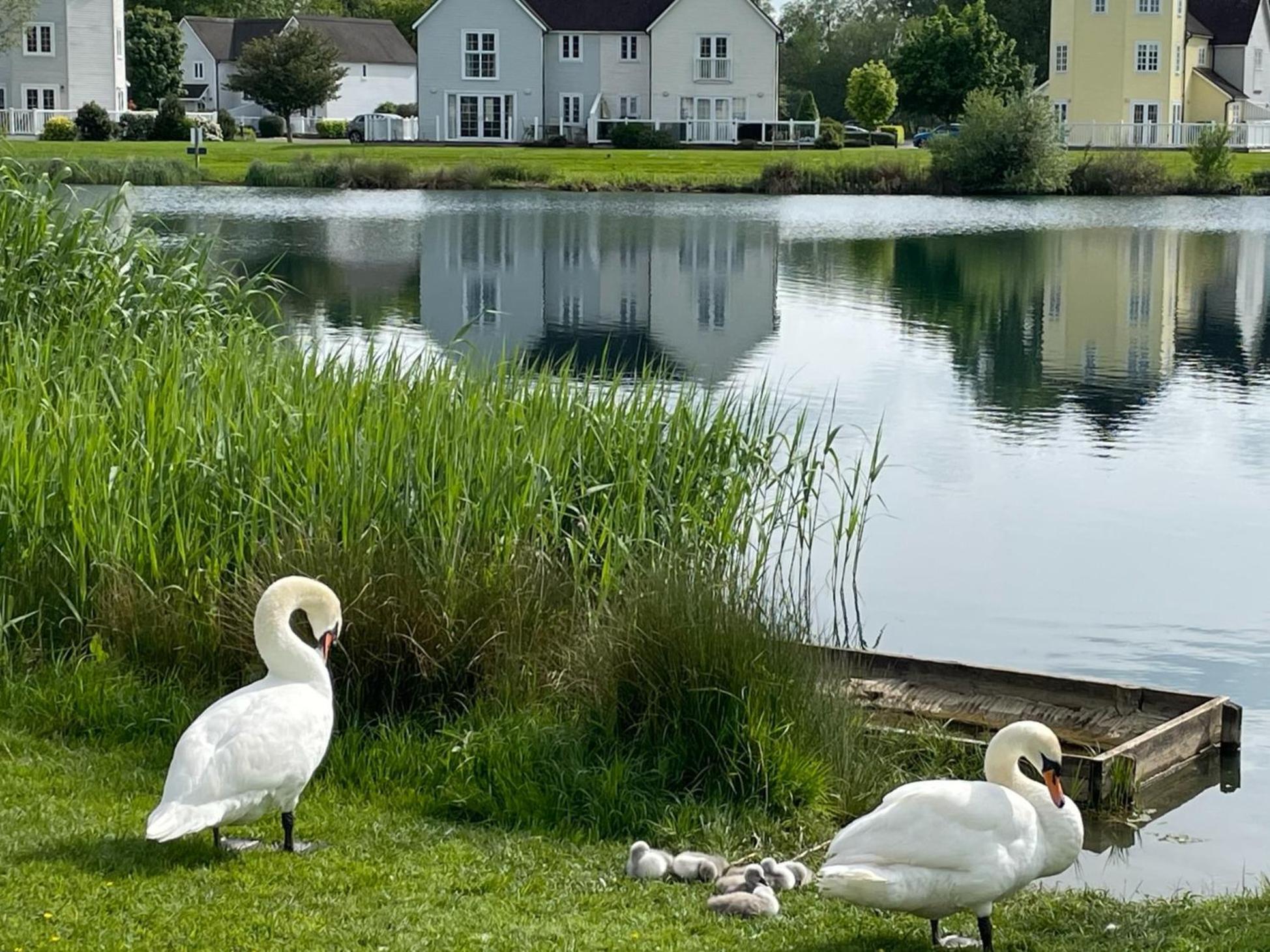 Luxury Kingfisher Lodge, Isis Lake, Within The Cotswold Waterpark Cirencester Εξωτερικό φωτογραφία