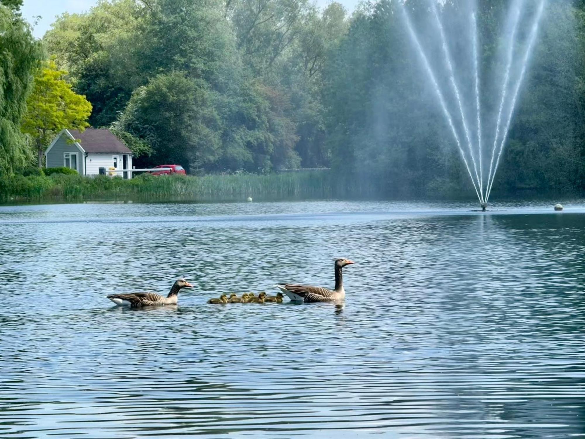 Luxury Kingfisher Lodge, Isis Lake, Within The Cotswold Waterpark Cirencester Εξωτερικό φωτογραφία